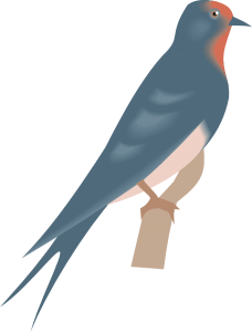 Swallow PNG-67362